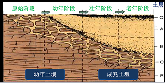 土壤是怎样形成的?