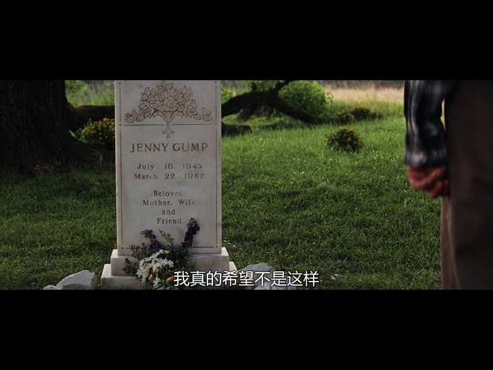 不得不说《阿甘正传》里面,当珍妮死掉后.