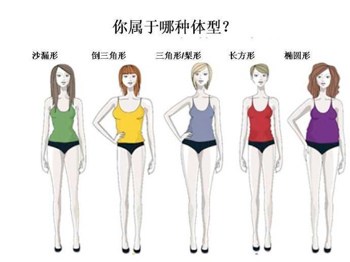 你是沙漏型身材,肩部与臀部宽度相近,腰部有一定曲线,是亚洲女性常见