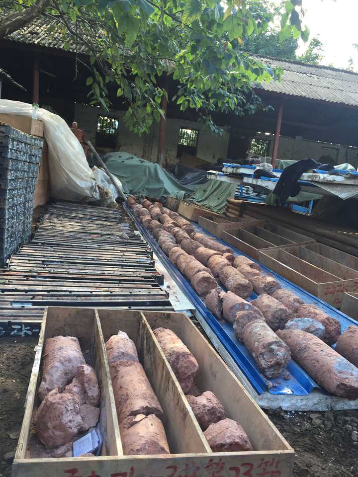 想去油田看岩心,需要准备什么手续或者进行什么申请么?