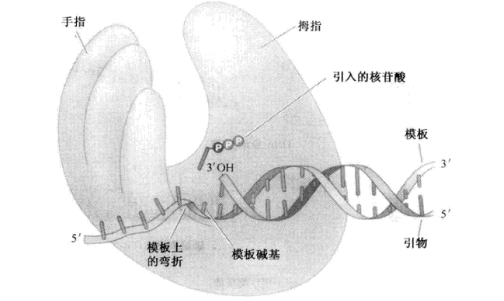 知乎