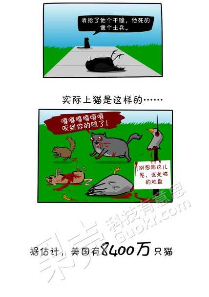 猫为什么要捉老鼠 知乎