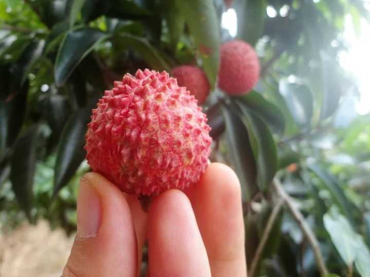 南宁有哪些不可错过的美食？ - 知乎
