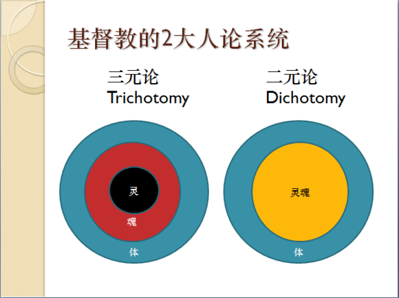 灵魂体三元论图片