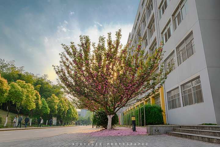 在河海大学hhu就读是一种怎样的体验