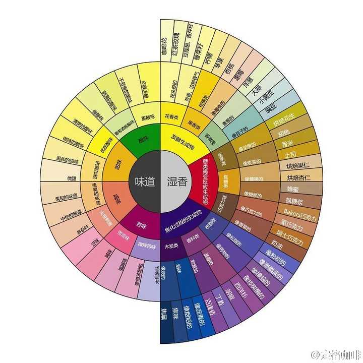 scaa风味轮,对咖啡进行品尝杯测用的参考图表