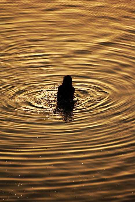 在旅游途中拍过最震撼的大自然照片以及当时的内心感受是什么样的?