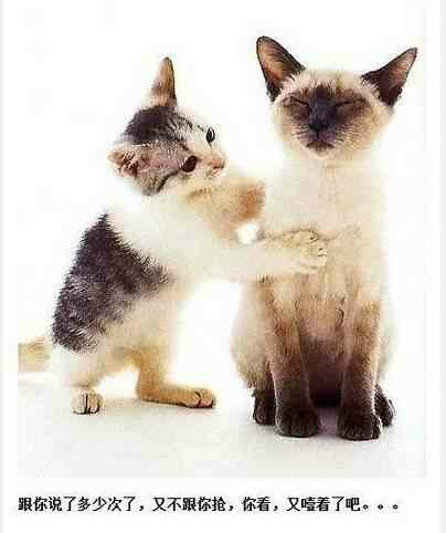 我来月经时,我的男友除了劝慰"多喝热水",还能为我做哪些事?