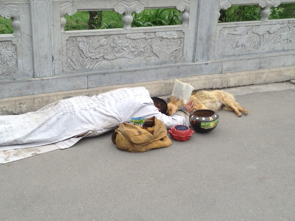 知乎里看到的,侵删, 一僧人刚看到去世的狗,为其超度  显示全部