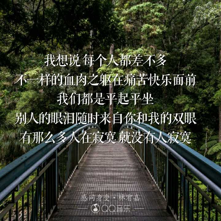 有没有一句你感同身受的歌词?