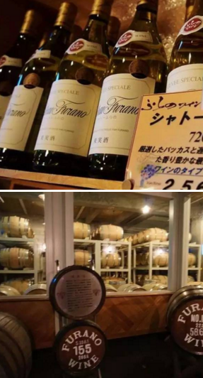想去北海道休闲自助游4 5天 请问大家有什么建议吗 吃住行 游购娱 知乎用户的回答 知乎 想去北海道休闲自助游4 5天 请问大家有什么建议吗 吃住行 游购娱 知乎用户的回答 知乎