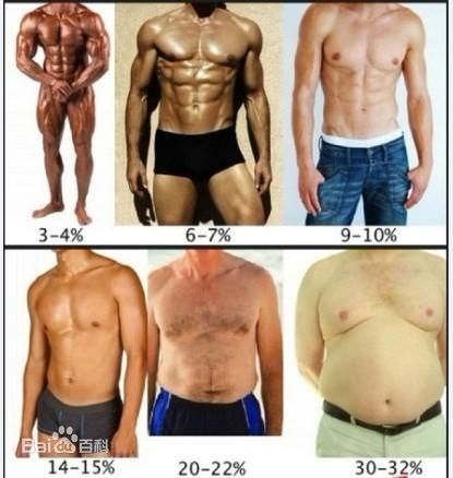 体脂 过少有哪些坏处 知乎