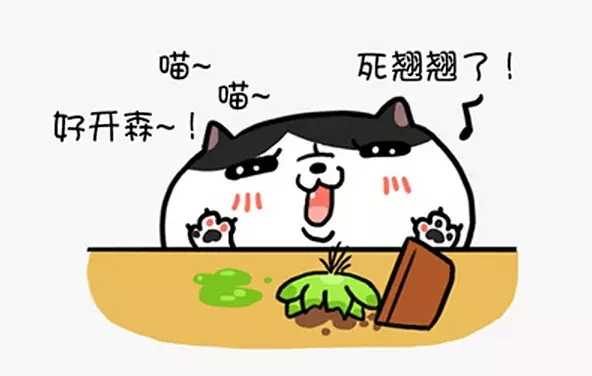 有没有知友又养猫又养多肉的 知乎 有没有知友又养猫又养多肉的 知乎
