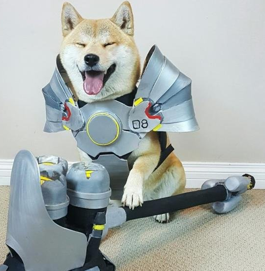 守望先锋里的莱因哈特是怎样的一个人?