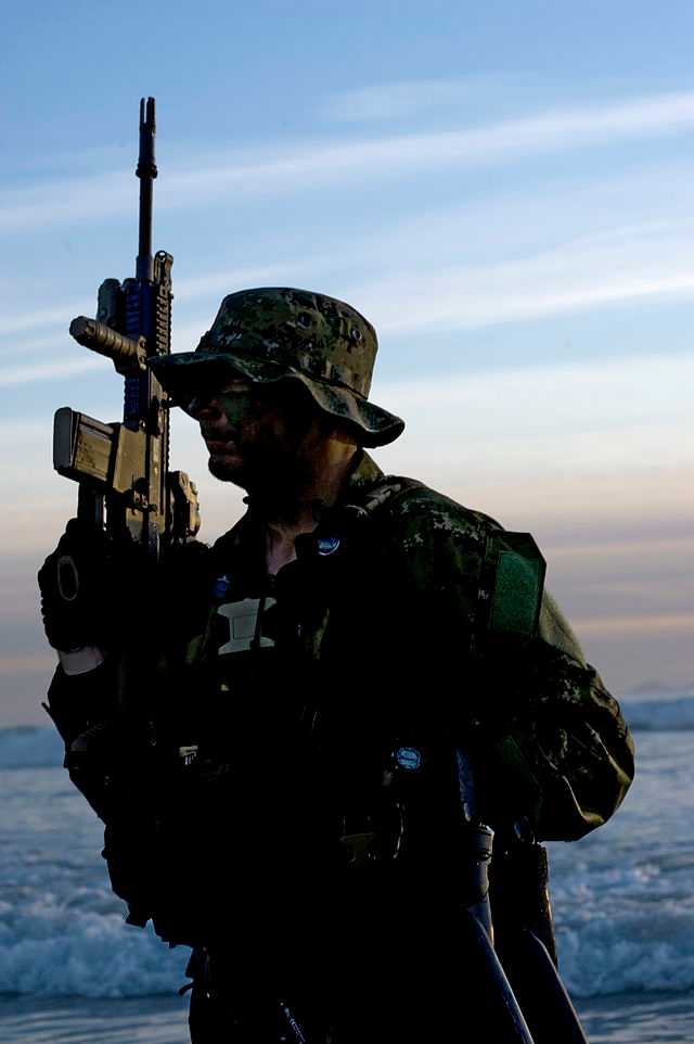 美国海军海豹部队的士兵手持fn scar h