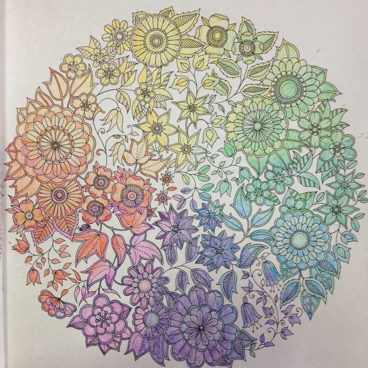 涂《秘密花园》到底需要什么样的彩色铅笔?