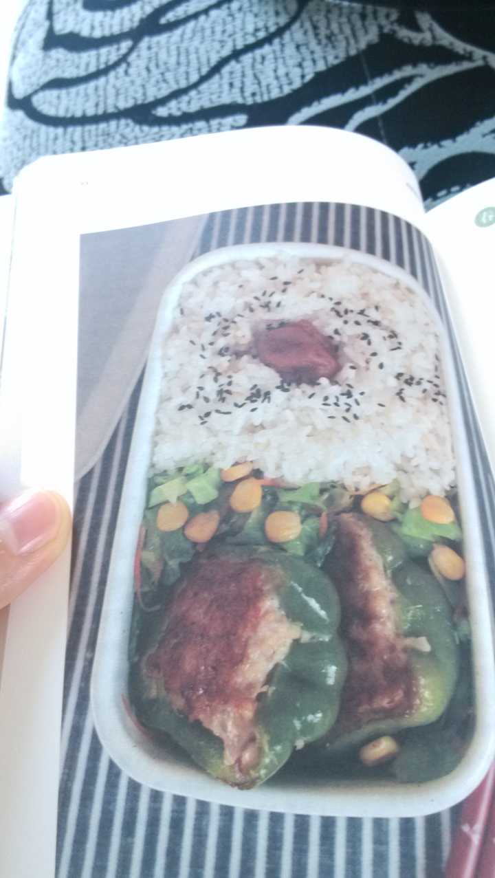 日本妈妈们是怎么做便当的 知乎 日本妈妈们是怎么做便当的 知乎