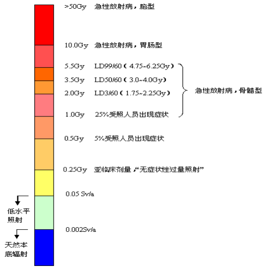 辐射卡人口_辐射避难所普通模式怎么玩 辐射避难所普通模式六天玩法图文攻略(3)