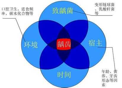 我们说龋齿发病是四联因素学说.