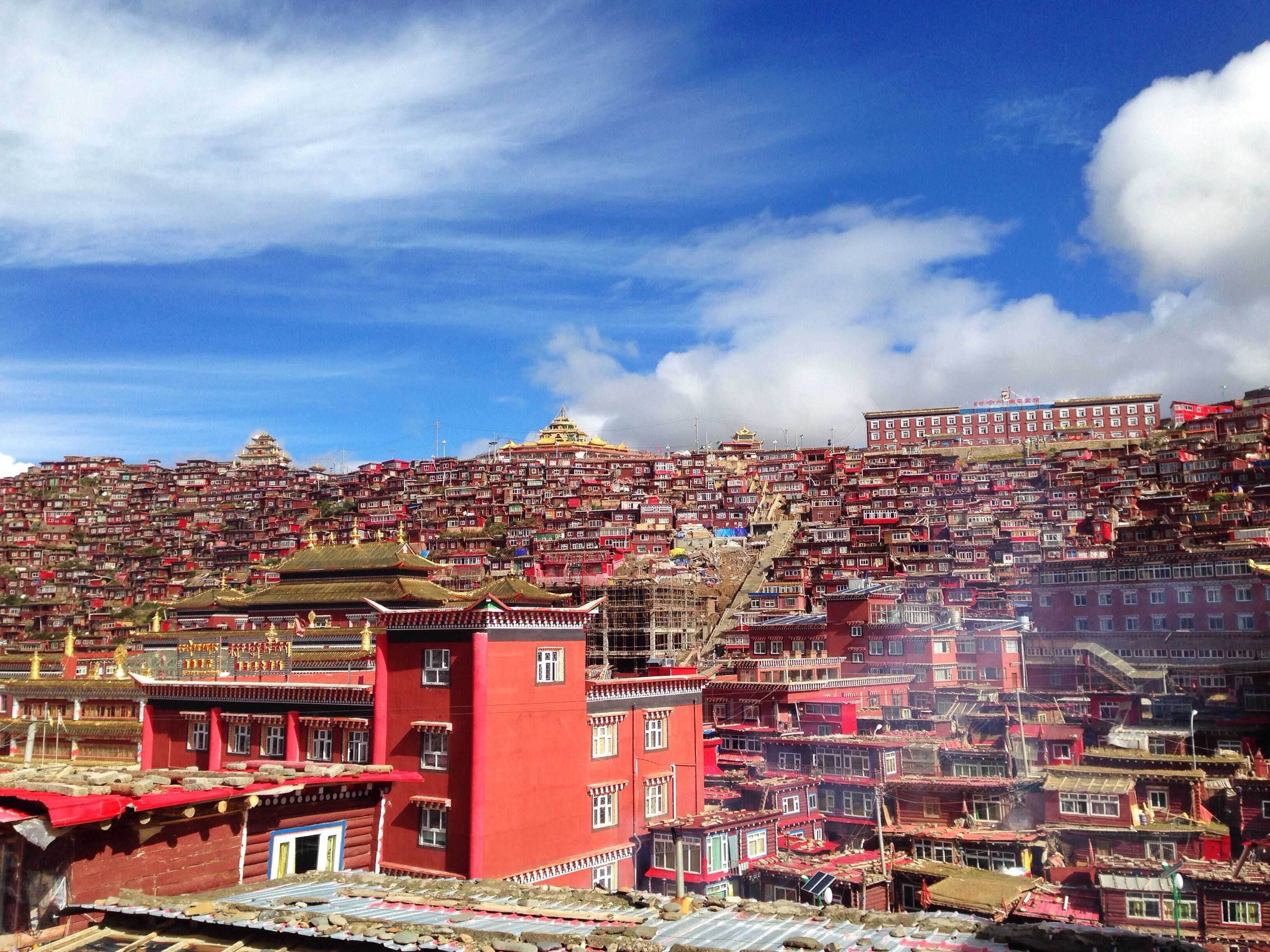 对于满山的红房子,还有神秘的藏传佛教,我的心是不可抗拒的