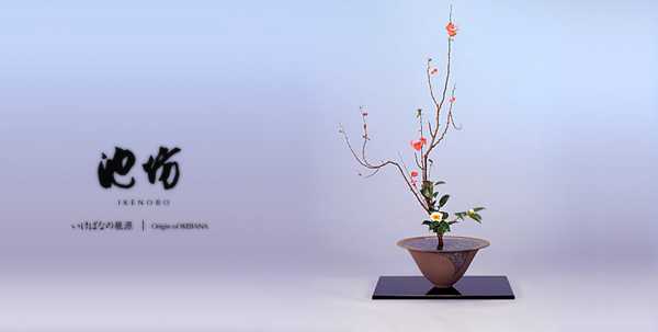 如何学习插花 知乎 如何学习插花 知乎