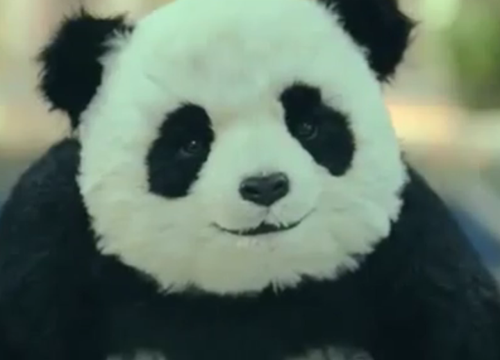 熊猫奶酪广告表情包图片