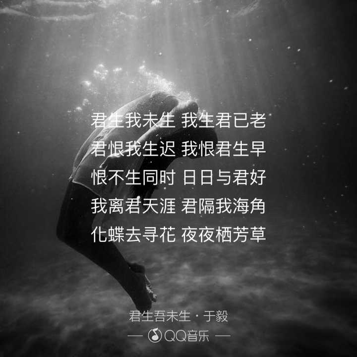 d8519221b11df0a29163663dfea0a129_hd.jpg