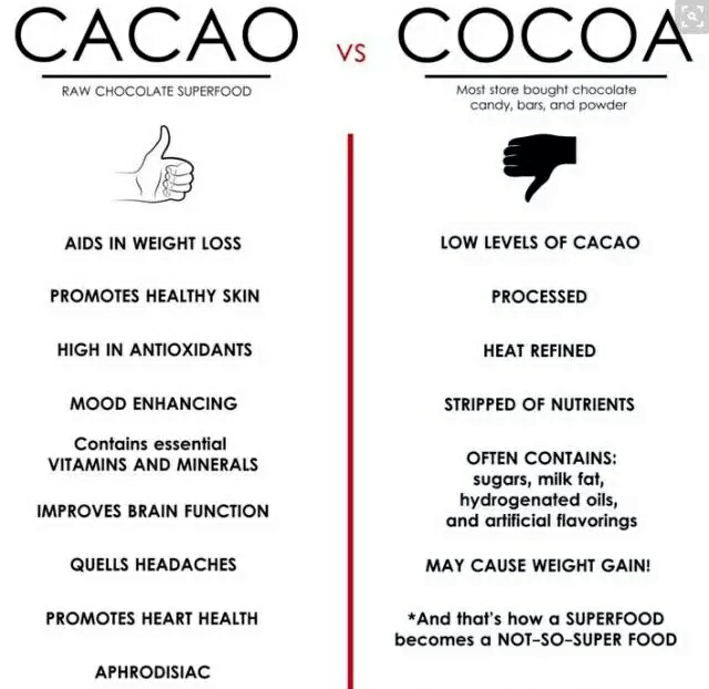 巧克力包装上cocoa和cacao是同一个意思吗 那cacao是假的吗 知乎