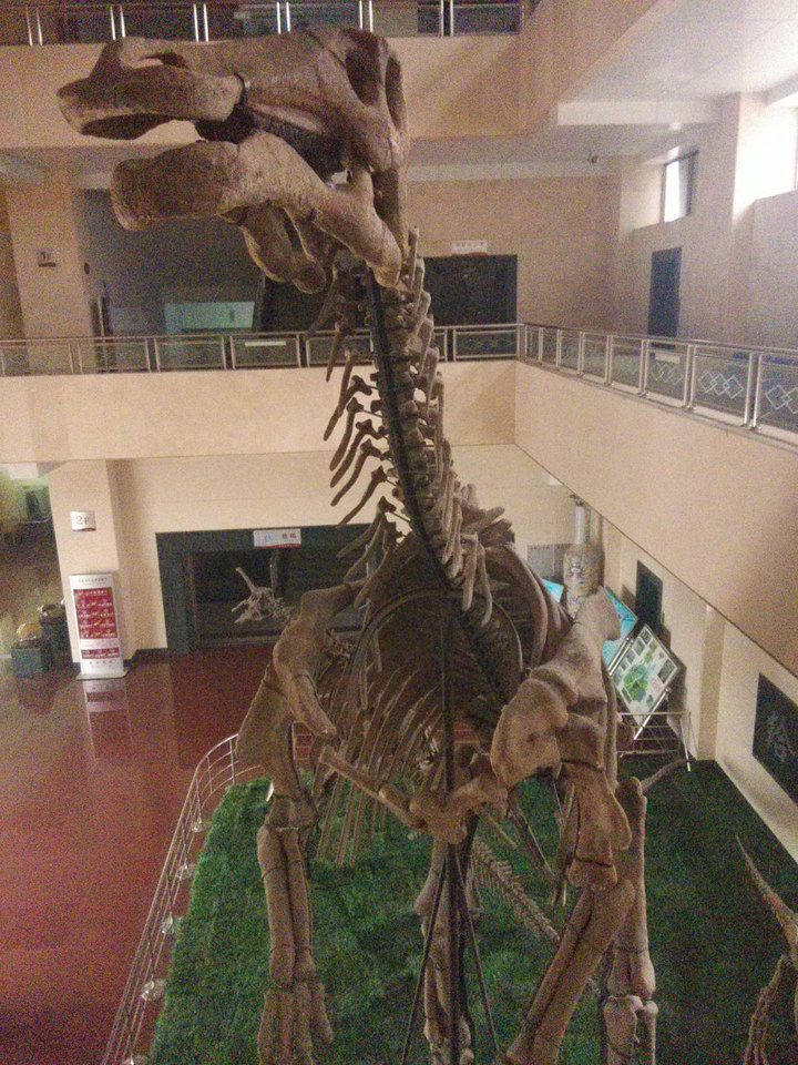 平邑的天宇恐龙博物馆对于恐龙化石的保管情况如何?