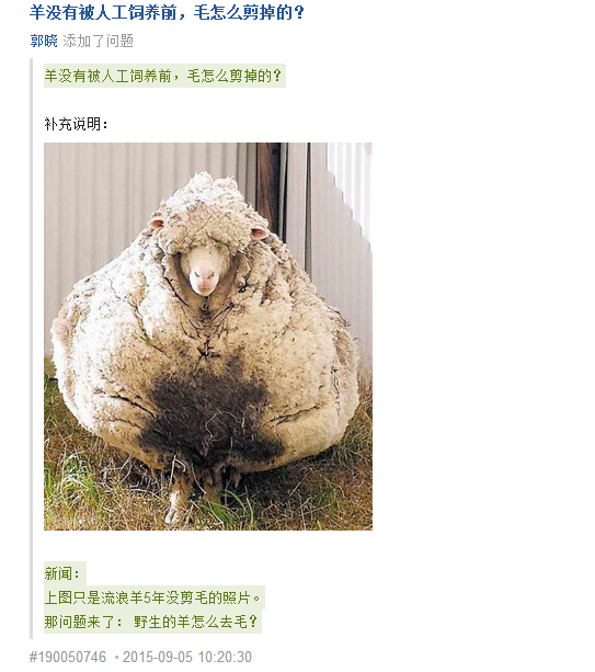 羊没有被人工饲养前 毛怎么剪掉的 知乎 羊没有被人工饲养前 毛怎么剪掉的 知乎