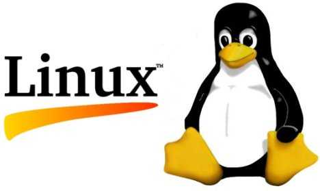 Linux and 企鹅