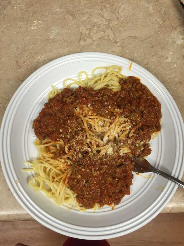 spaghetti and bison meat