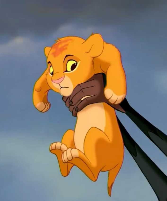 双手举着猫咪,神情肃穆一步一步登上沙发之巅,然后唱着狮子王的bgm