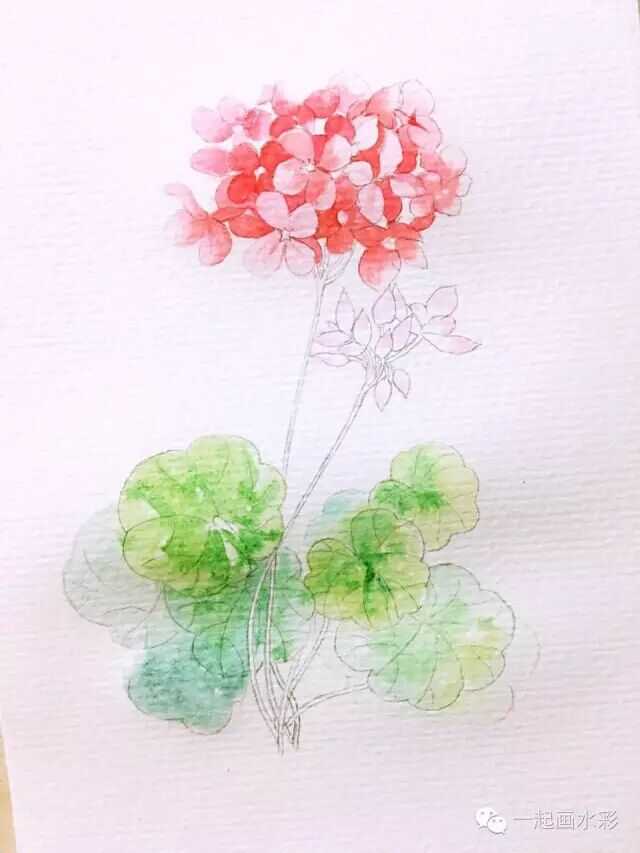 水彩初学者用什么颜料好 知乎 水彩初学者用什么颜料好 知乎
