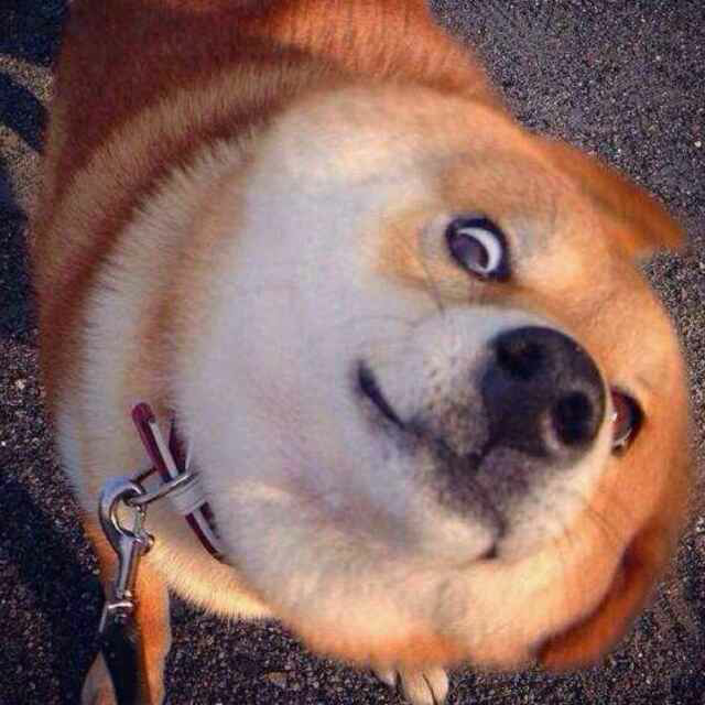 影视剧作品中有哪些非常过瘾的群殴场景?