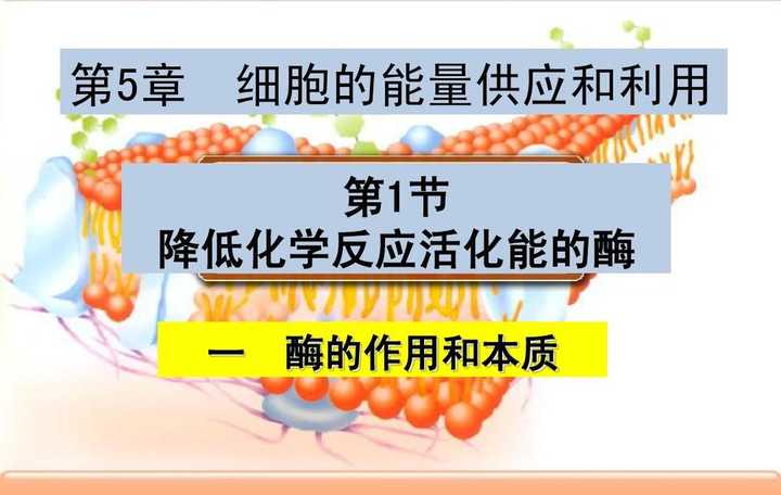 知乎