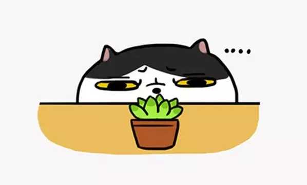 有没有知友又养猫又养多肉的 知乎 有没有知友又养猫又养多肉的 知乎