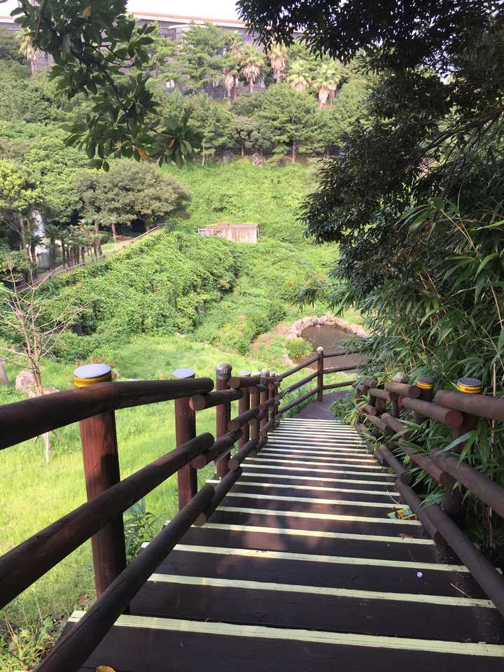 圖片是幾天前和好基友去旅遊的照片