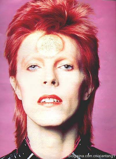 david bowie去世了,如何看待他的一生?