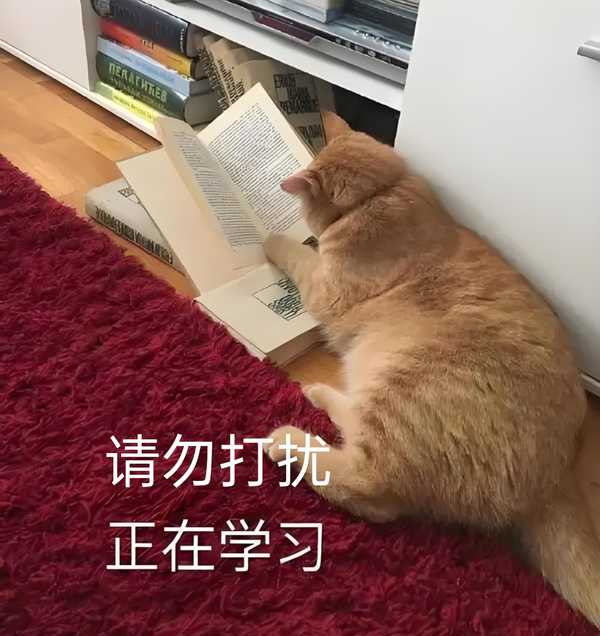 高中数学怎样才学得好?