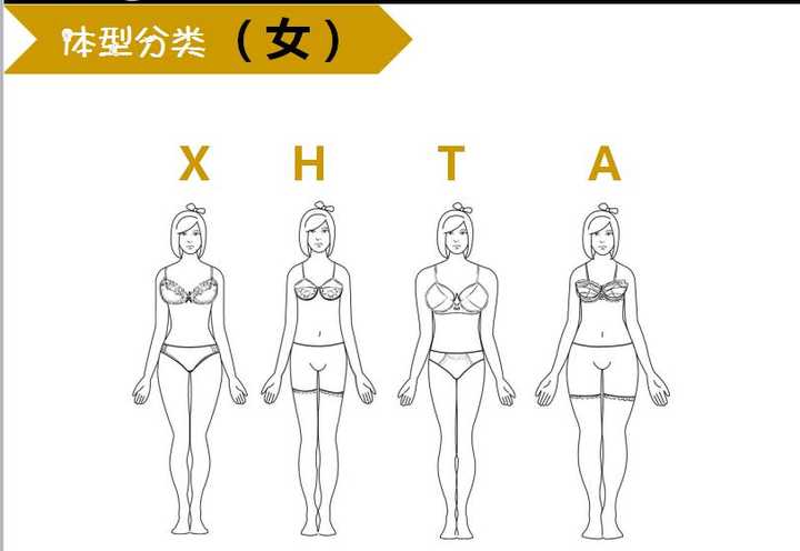 如何准确地识别自己的体型 知乎 如何准确地识别自己的体型 知乎