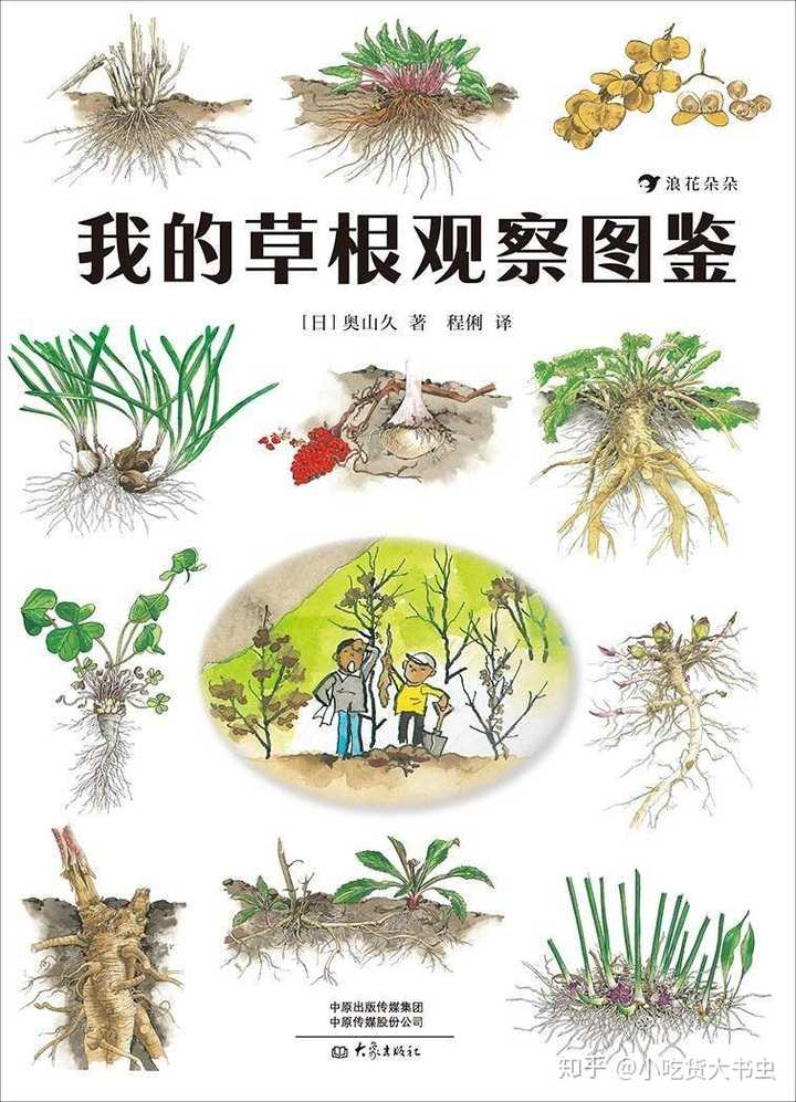 家长如何正确的引导孩子认识动植物及大自然 知乎