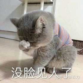 把猫的胡子剪了 会对猫有什么影响 知乎 把猫的胡子剪了 会对猫有什么影响 知乎