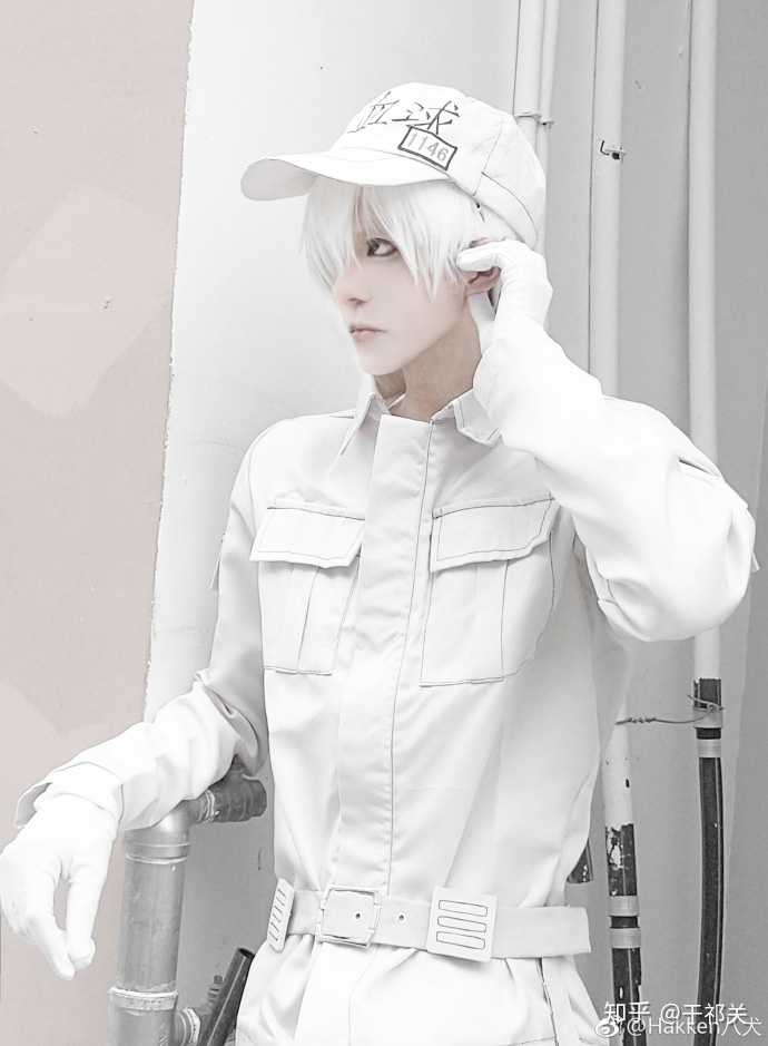 女孩子!女孩子! 多图预警,高美预警. 首先是大家熟知的白细胞先生.