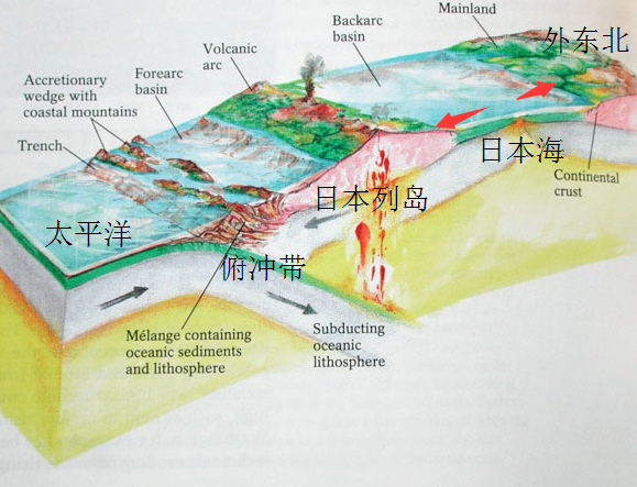 日本海的海底是大洋海盆吗?