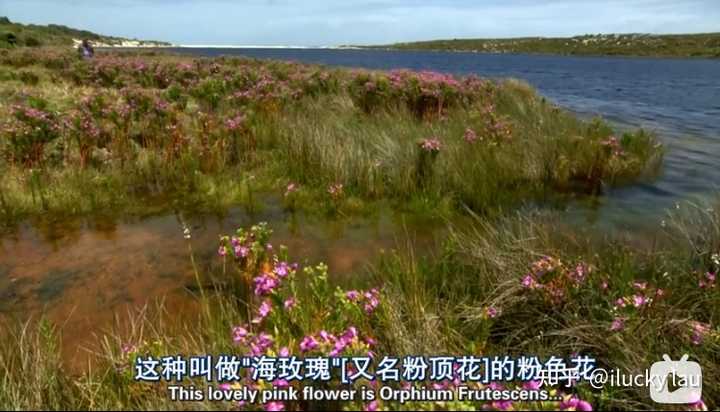 对植物说话真的有用吗 知乎 对植物说话真的有用吗 知乎