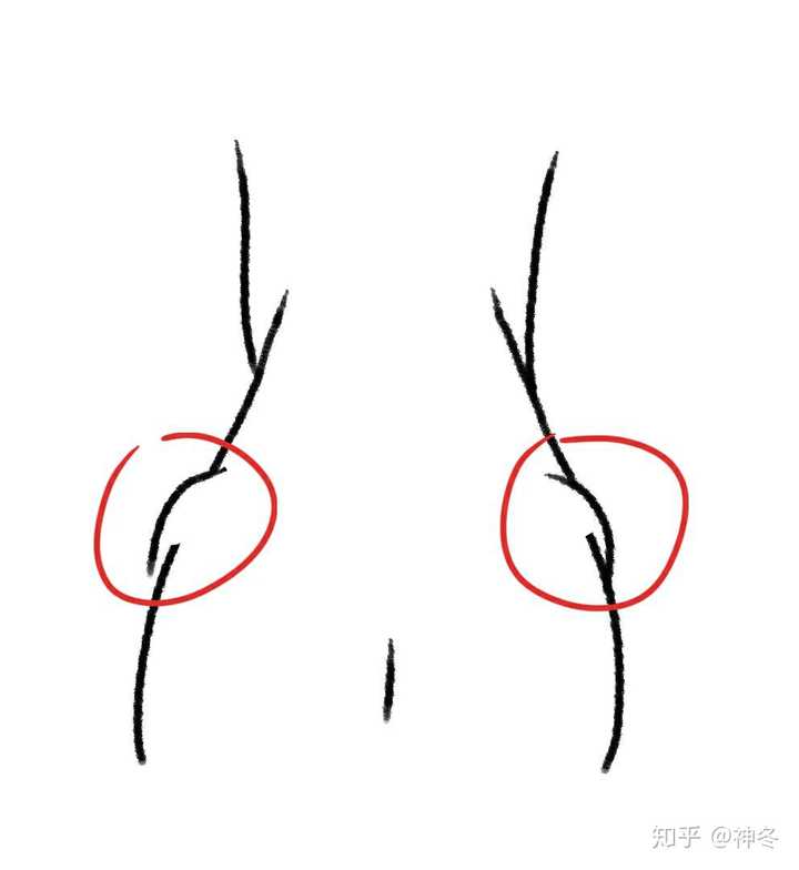 假胯宽是胯骨肌肉突出. 首先,来看看我们的腰部,髂骨