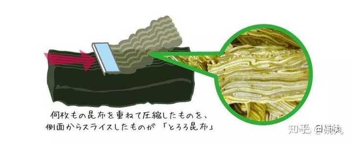 昆布和海带是一个东西吗 知乎