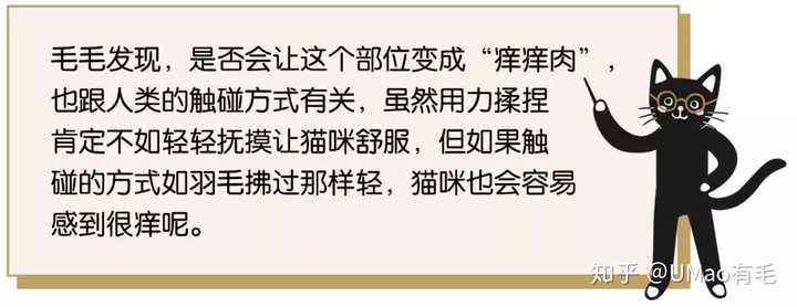 它怕不怕?挠它痒痒肉它会很舒服还是会揍我?