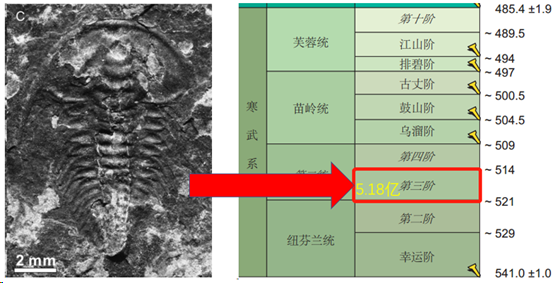 清江生物群所屬地質年代